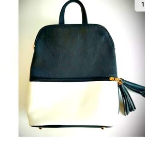 K.Carroll convertible backpack/purse.New w/o tags!